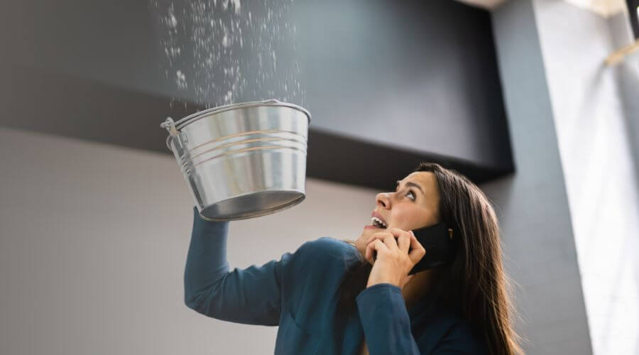 Why choose Black Mold Removal Lake Saint Louis for black mold removal in Lake Saint Louis